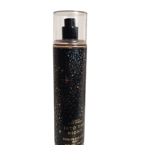 INTO THE NIGHT BATH AND BODY WORKS