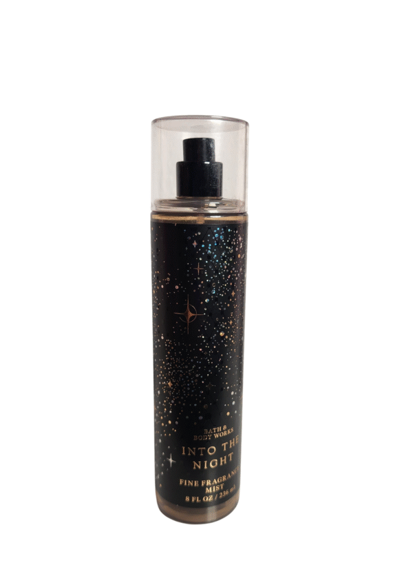 INTO THE NIGHT BATH AND BODY WORKS